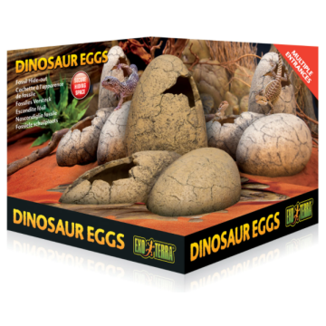 ET Dinosaur Eggs
